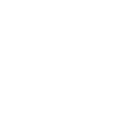 expert (1)